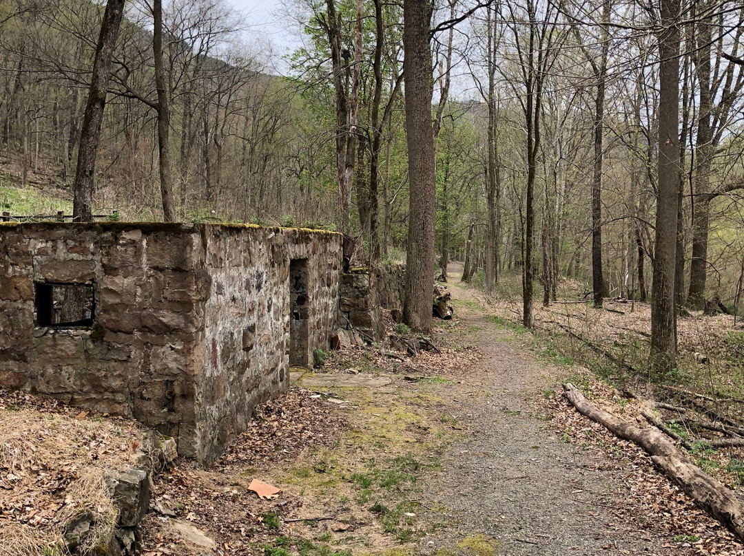 Nuttallburg Mine Site-Winona必去景点