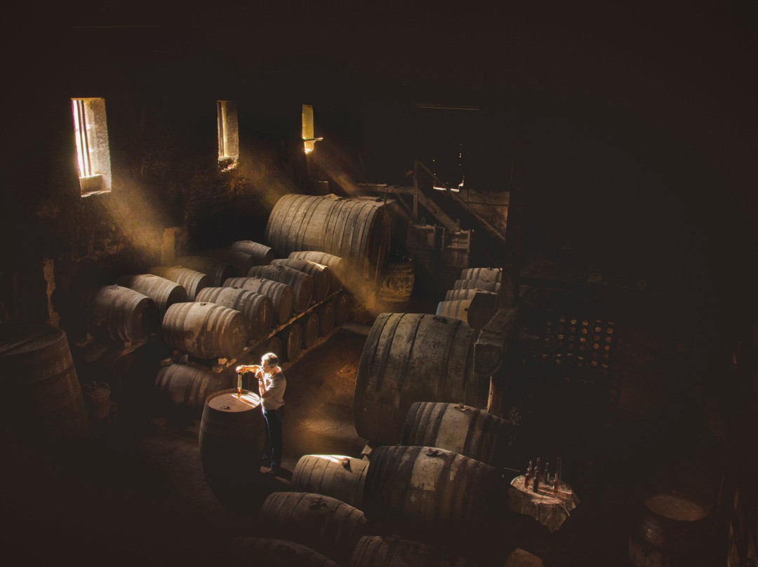 Chateau de Salles-Salles-d'Armagnac必去景点