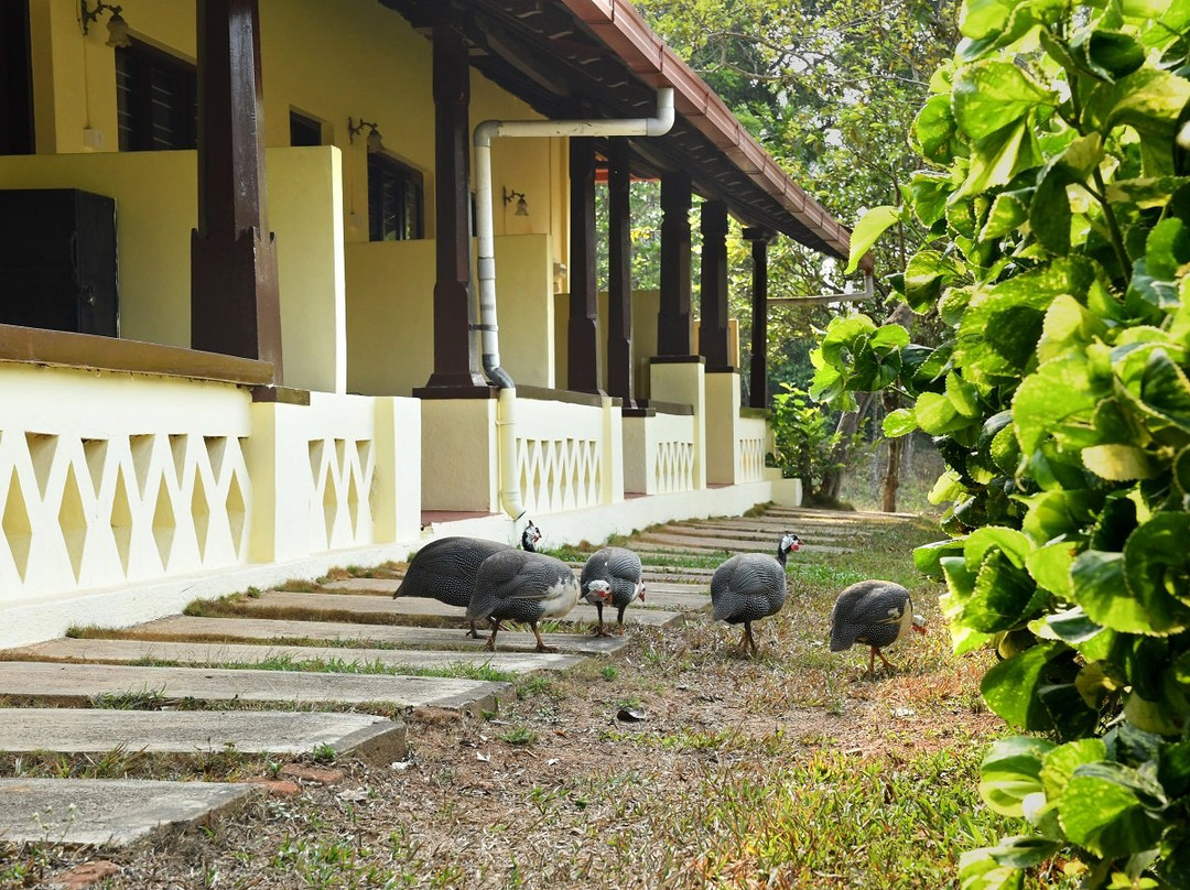 Alath-Cad Estate Holiday Home主图