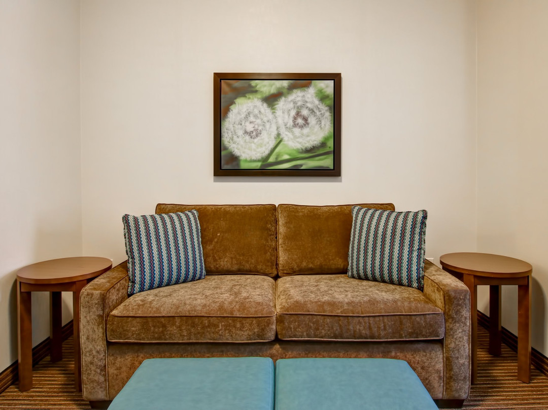 Canalta Selkirk主图