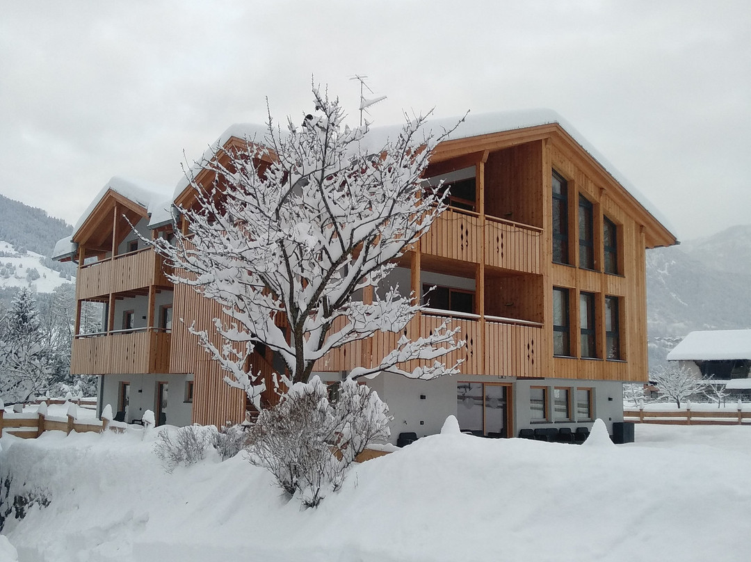 Masi di Cavalese酒店住宿-Mas dei Masi