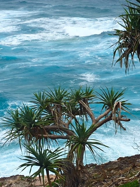 Frenchman's Beach景点图片