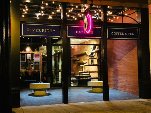 River Kitty Cat Cafe-埃文斯维尔必去景点
