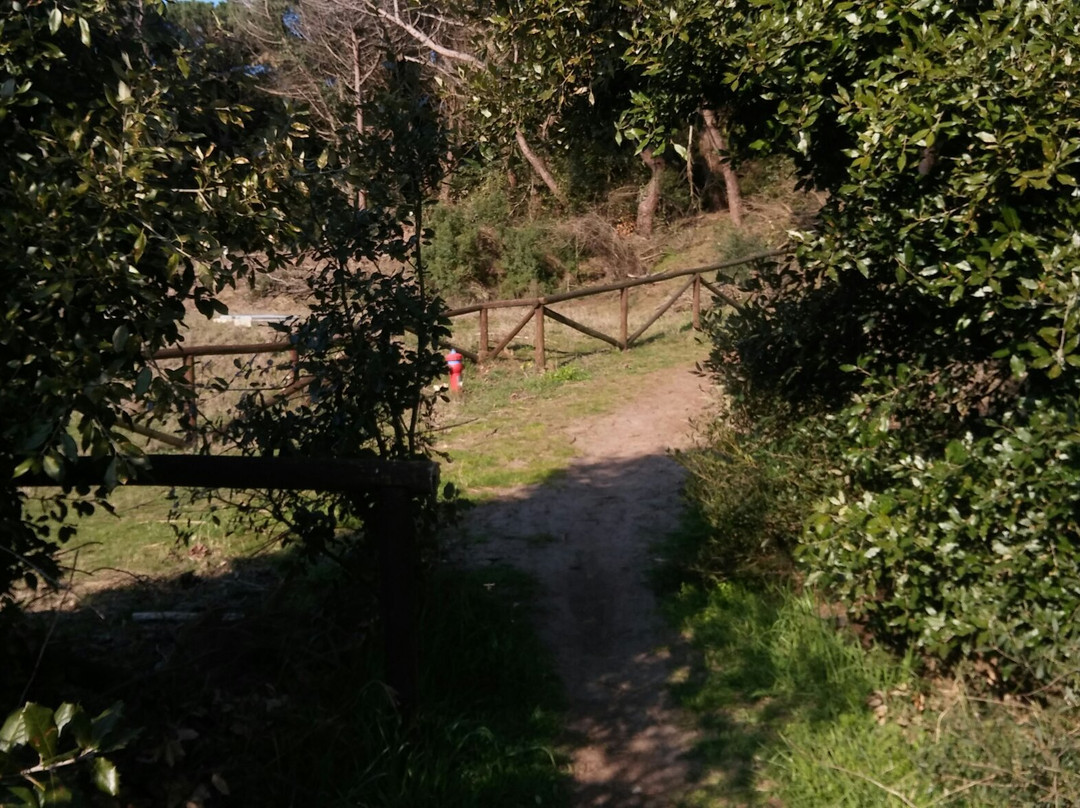 La Pineta景点图片