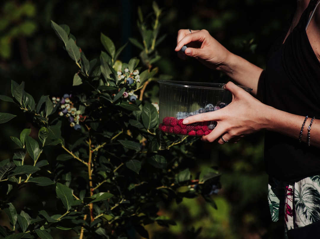 Azienda Agricola Antica via Romea-Fanano必去景点