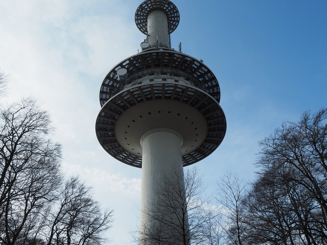 Fernmeldeturm Hünenburg-比勒费尔德必去景点