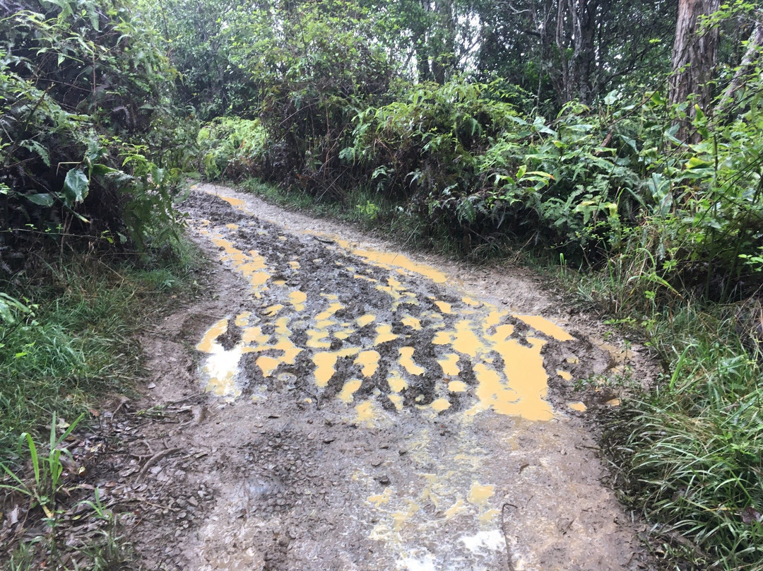 Awaawapuhi Trail景点图片