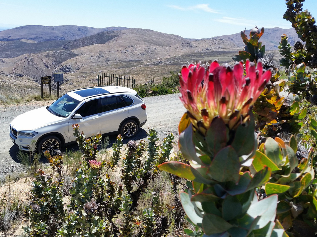 into NATURE excursions-乔治必去景点