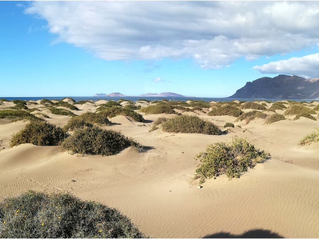 Caleta De Famara-兰萨罗特必去景点