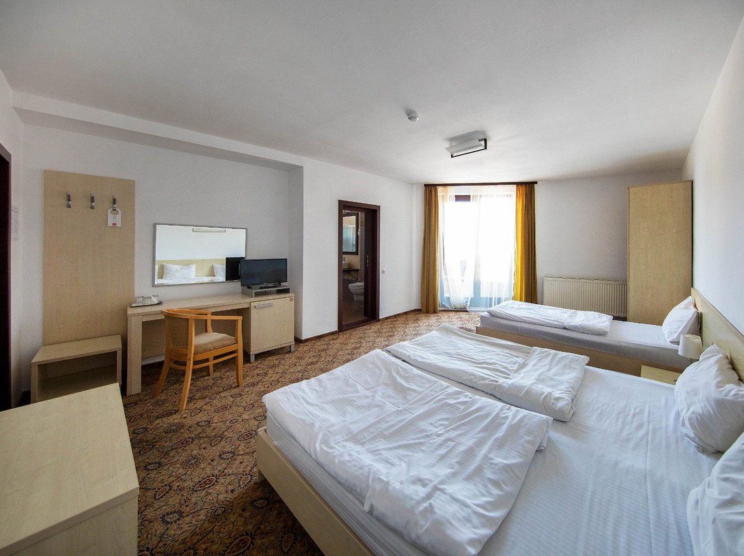 AselTur Brasov主图