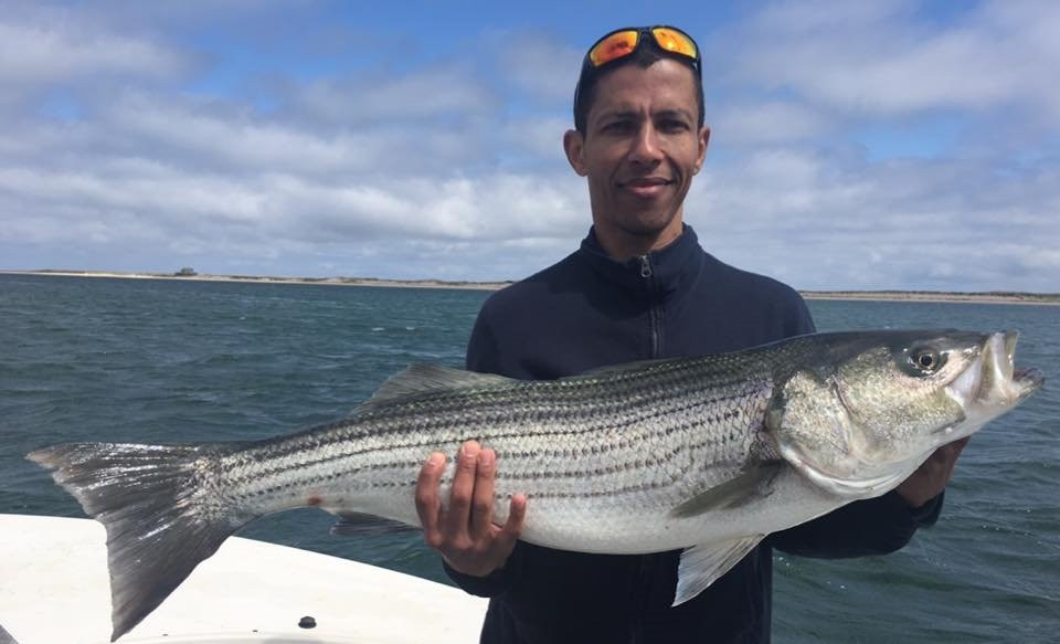 Zen Charters-查塔姆必去景点