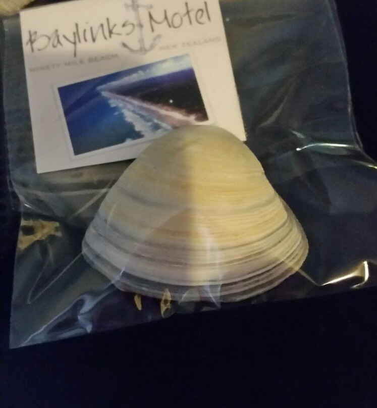 Baylinks Lodge Motel主图