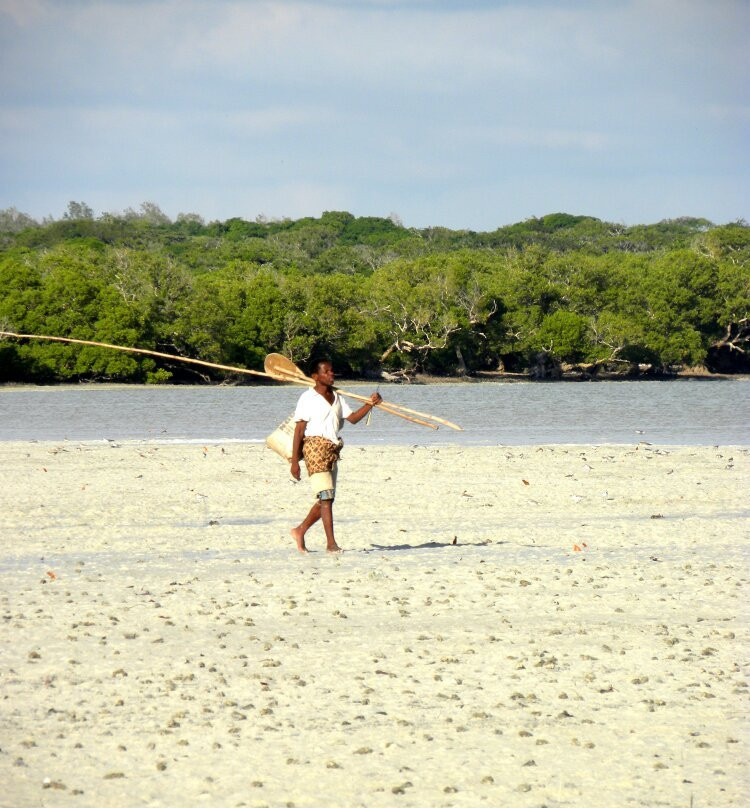 Mangrove Boardwalk Mida Creek景点图片