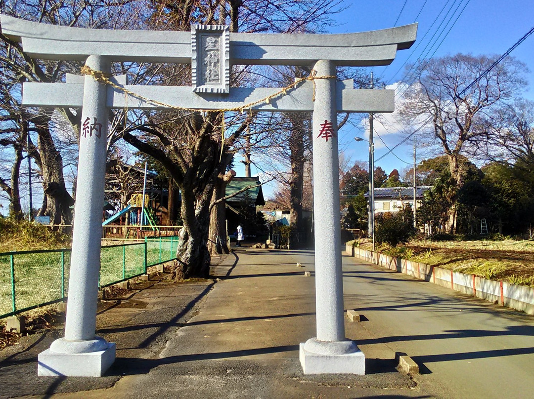 Hoshi Shrine-佐仓市必去景点
