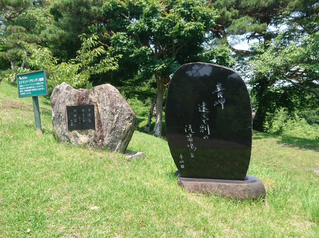Shin Tomiyama Viewing Platform-松岛町必去景点