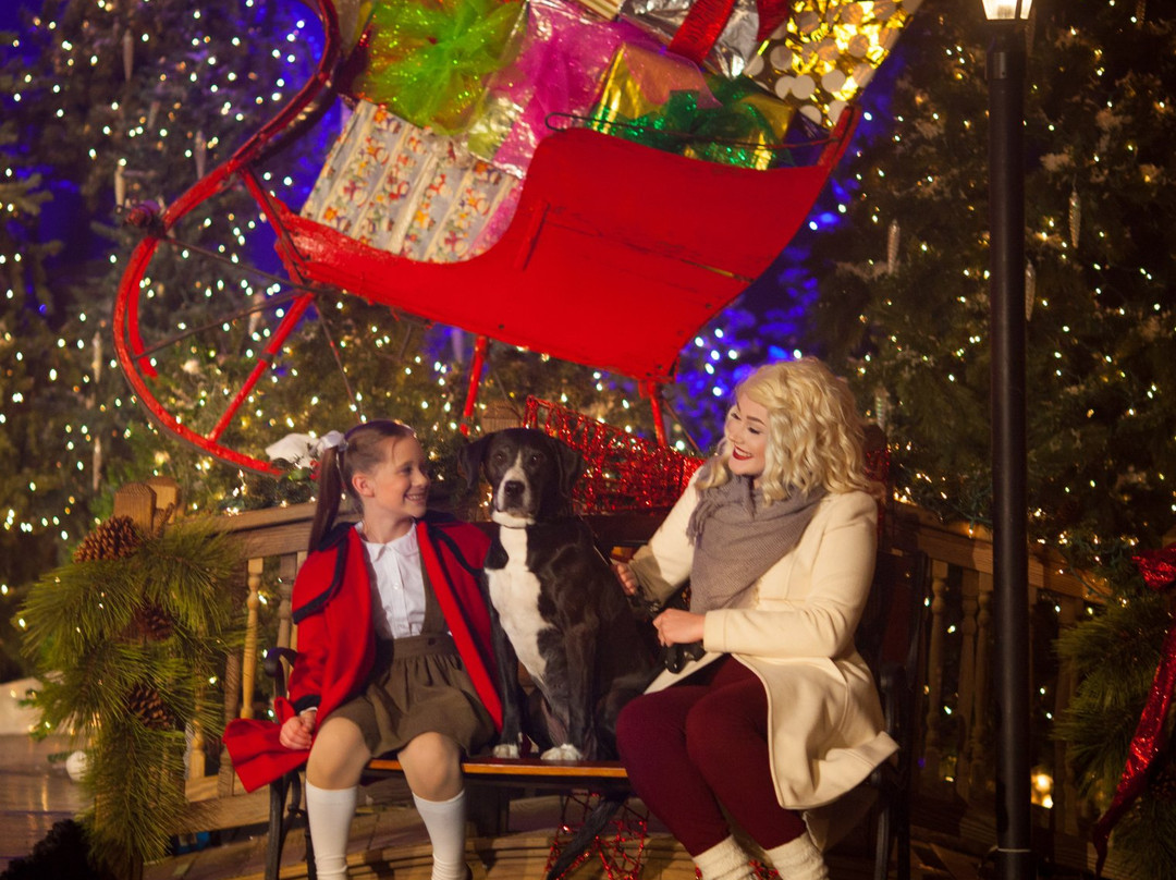 Antietam Recreation-黑格斯敦必去景点