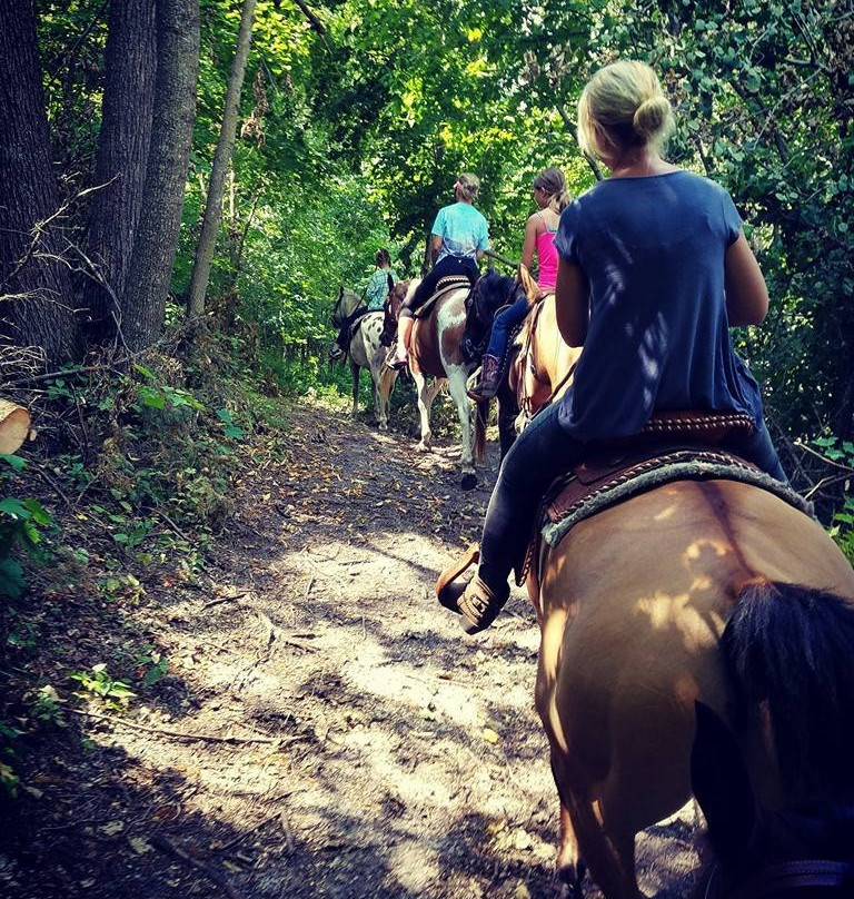 Timberline Ranch-Detroit Lakes必去景点