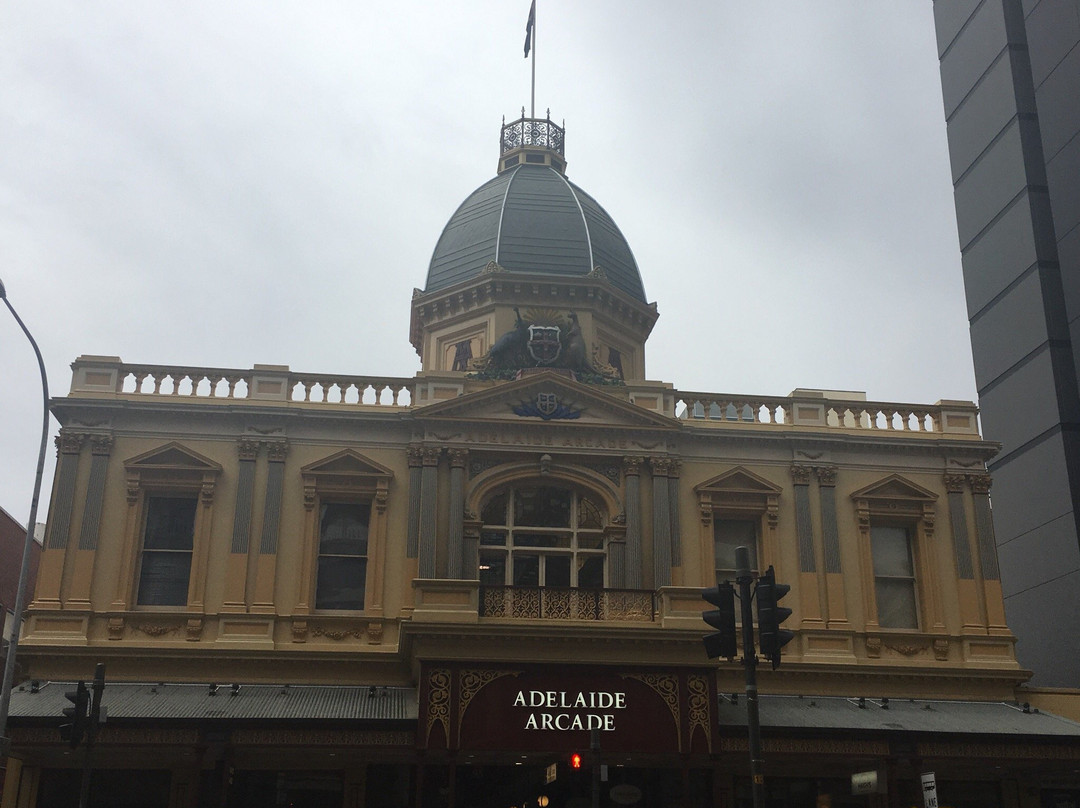 Adelaide Free Walking Tours景点图片