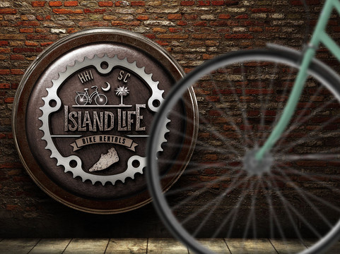 Island Life Bike Rentals & Dolphin Tours-希尔顿头岛必去景点