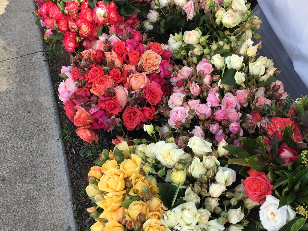 Golden Plains Farmer's Market-Bannockburn必去景点