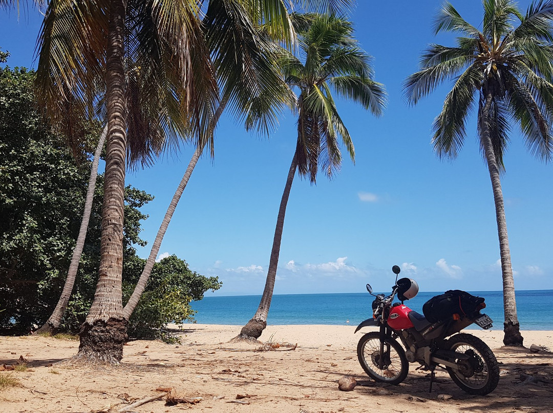 Road Runner Scooter Hire-Magnetic Island必去景点