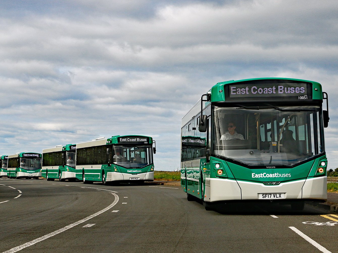 East Coast Buses-马瑟尔堡必去景点