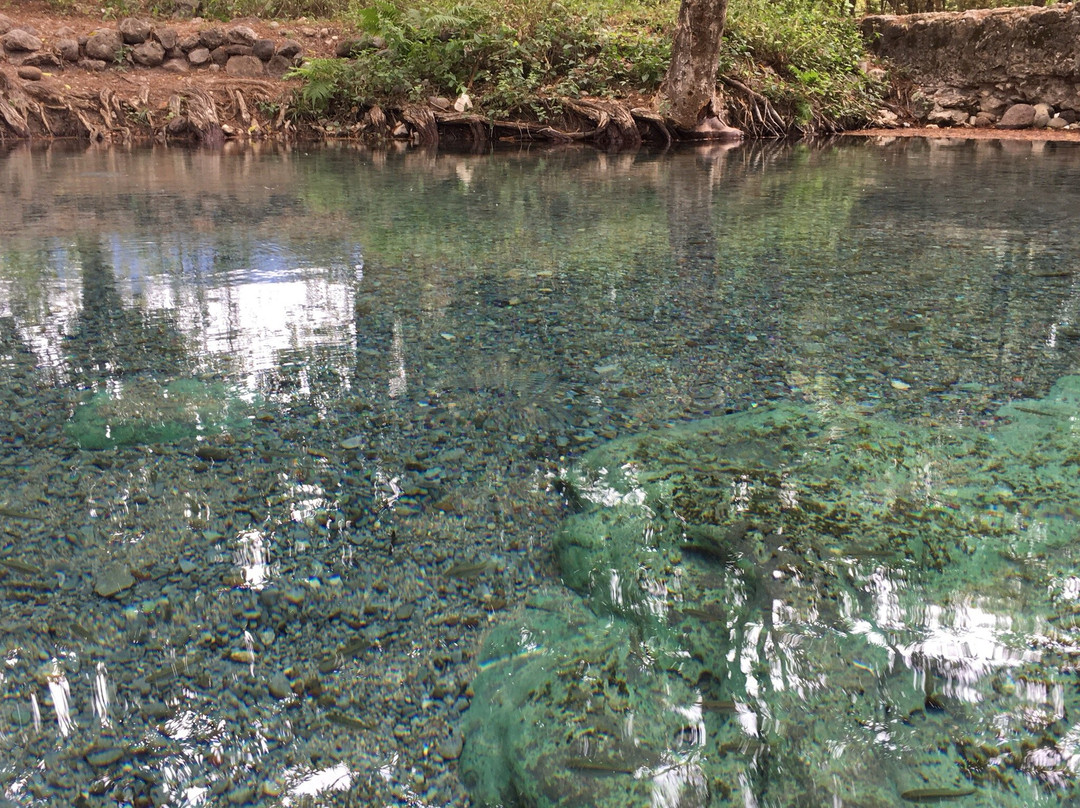 Zona Arqueológica de Tancama-Jalpan de Serra必去景点