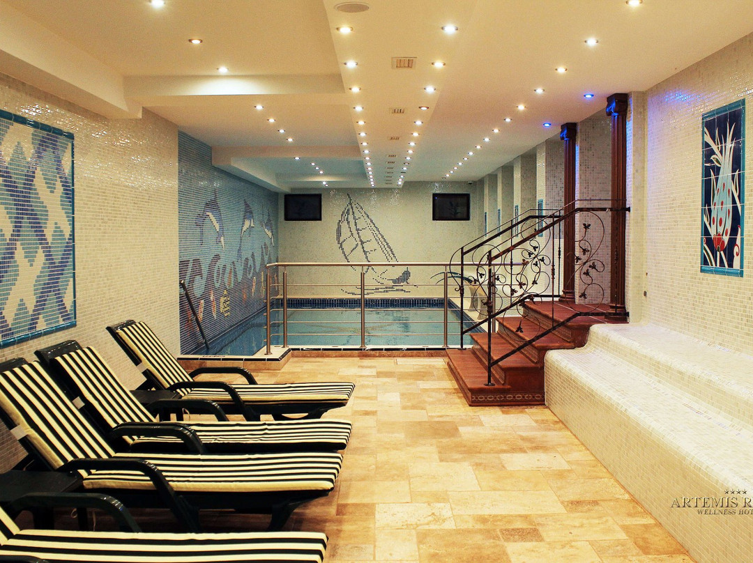 Artemis Resort Wellness Hotel主图