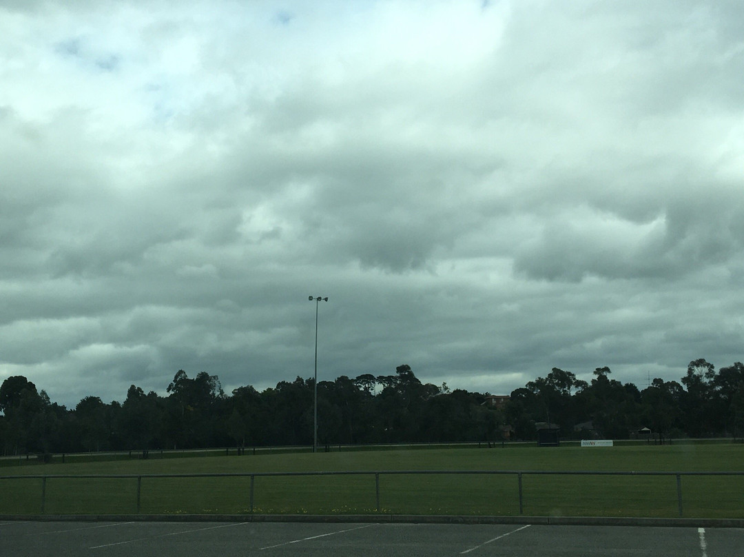 Sweeney Reserve-伯威克必去景点