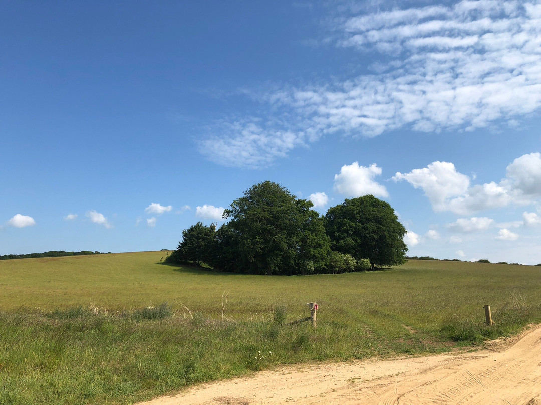 Sunnydene Farm