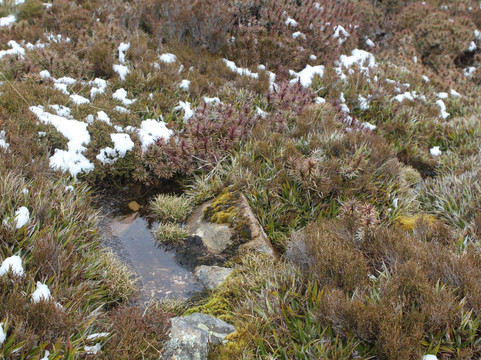 Mount Barrow-Nunamara必去景点