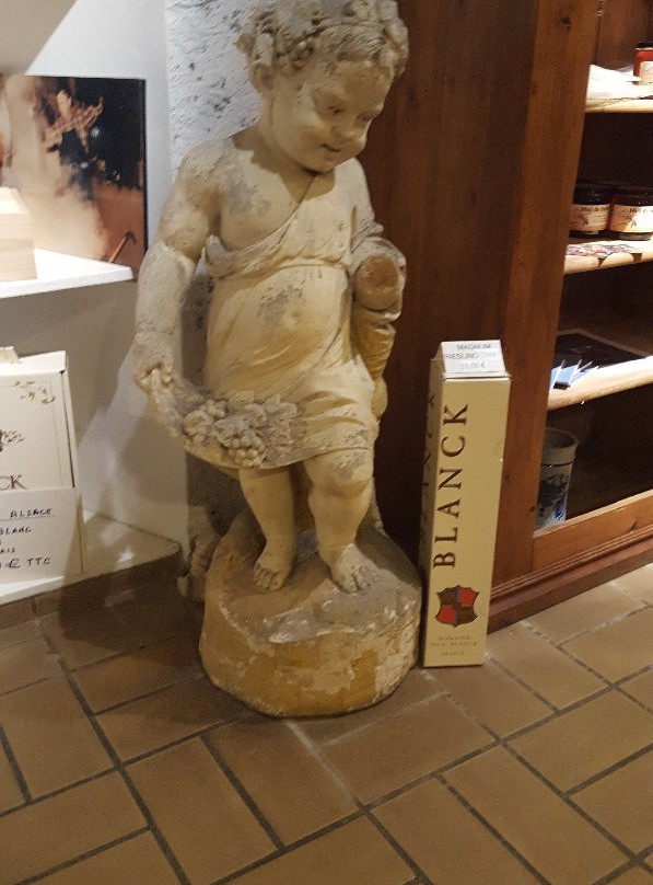 Domaine Paul Blanck景点图片