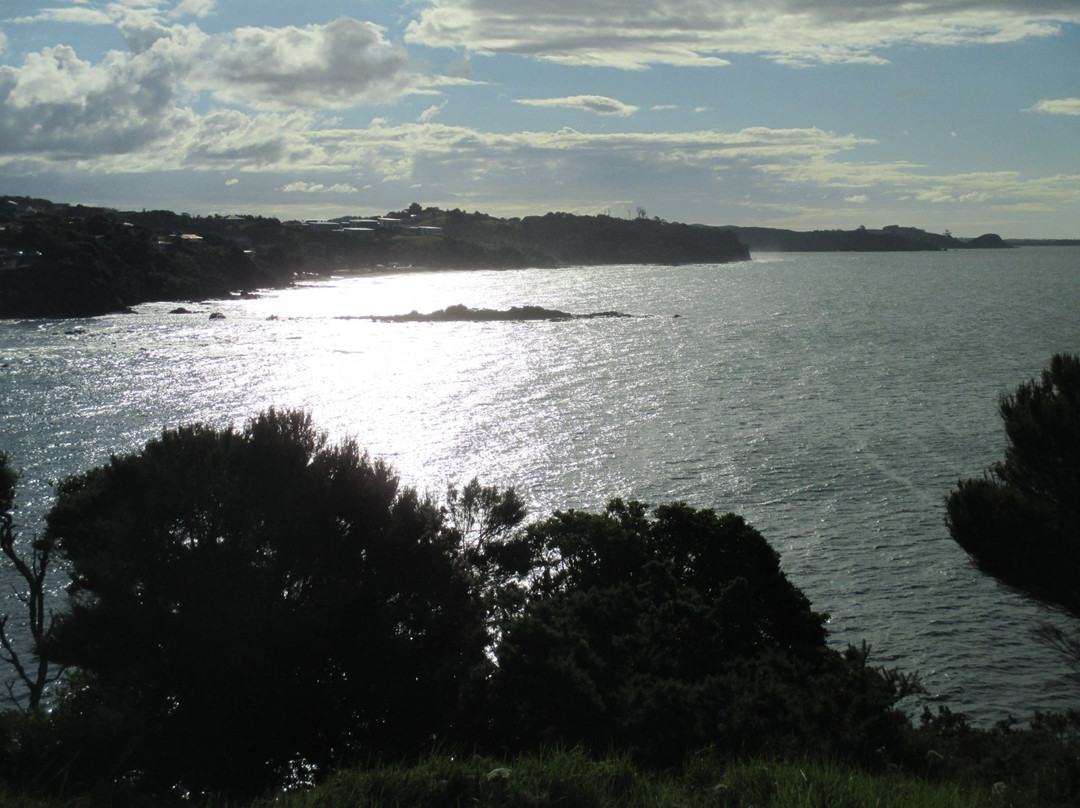 Taumarumaru Scenic Reserve Walk景点图片