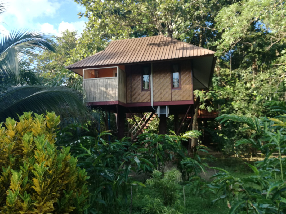 Khaosok Resort