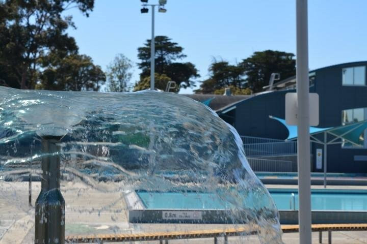 Pascoe Vale Outdoor Pool景点图片