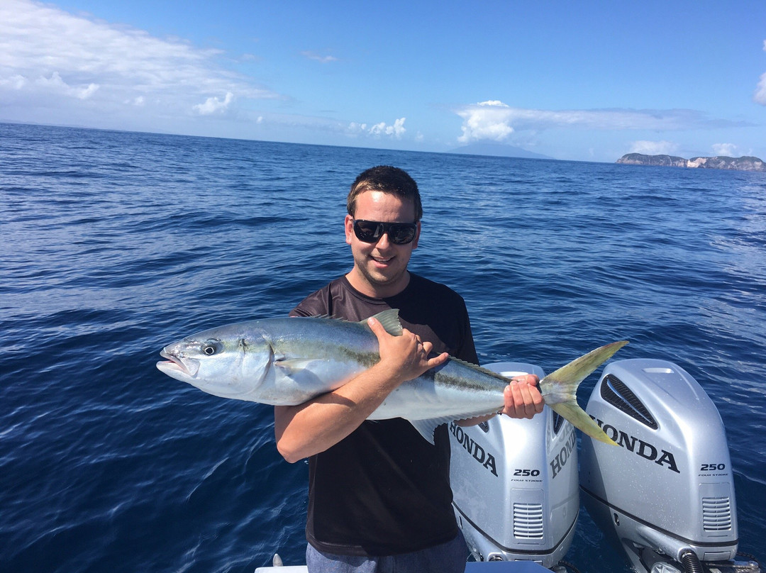 Offshore Adventures - Day Fishing Charters景点图片