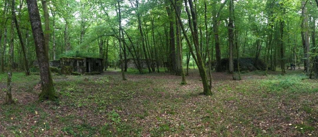 Camp Marguerre-Loison必去景点