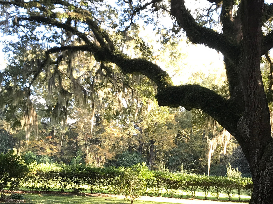 Natchez National Historical Park景点图片