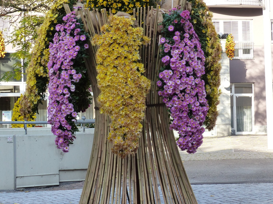 Fuehrungen + Rundgaenge-拉尔必去景点