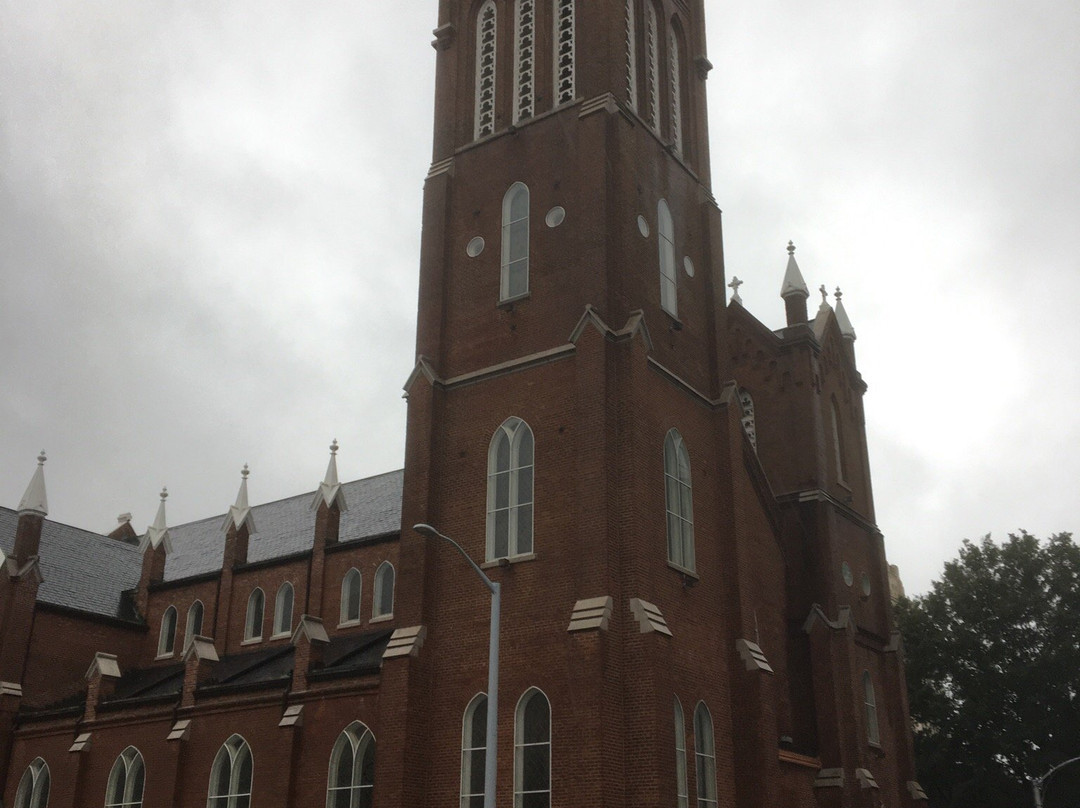 The Catholic Shrine of the Immaculate Conception-亚特兰大必去景点