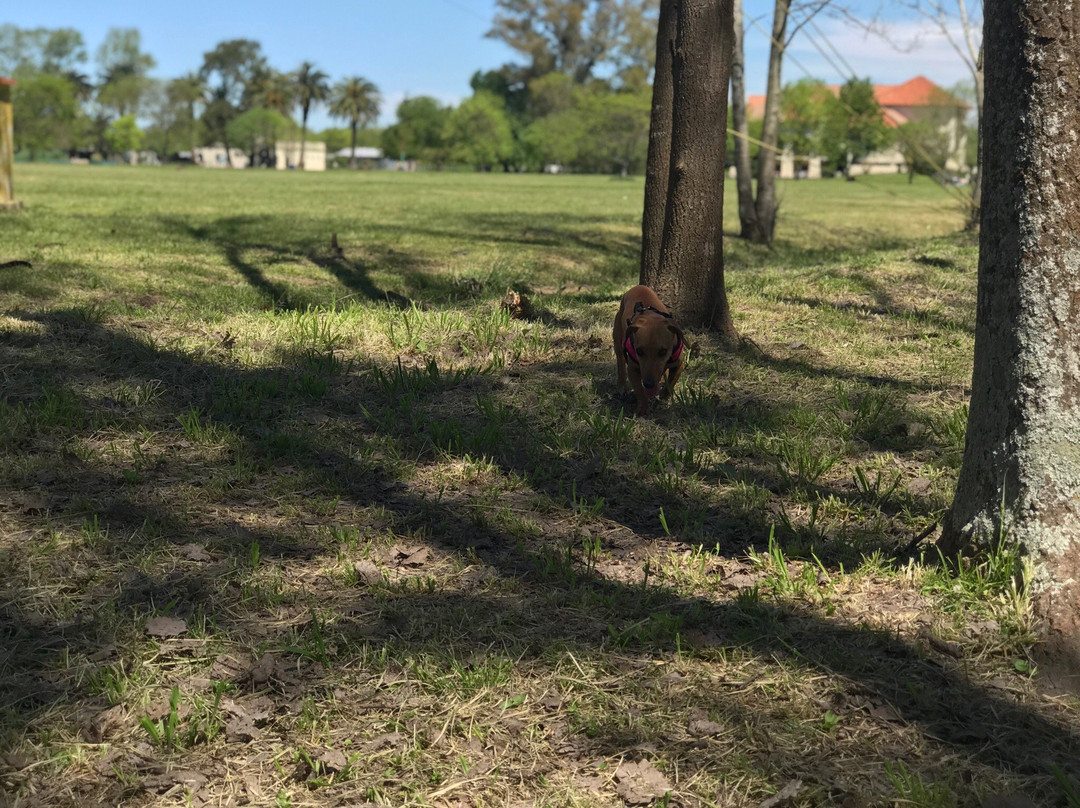 Parque Ecológico Municipal-拉普拉塔必去景点