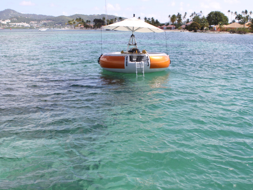 Bbq Donuts Boat-Le Marin必去景点
