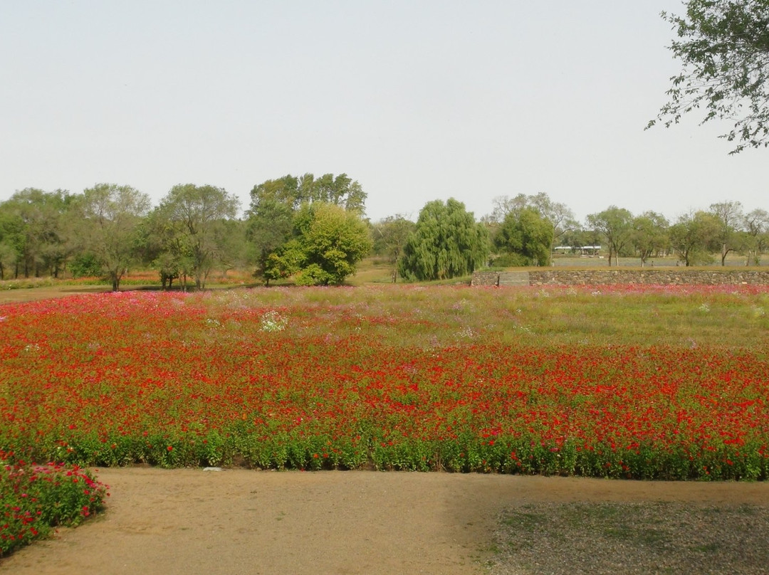 上京龙泉府遗址-宁安市必去景点