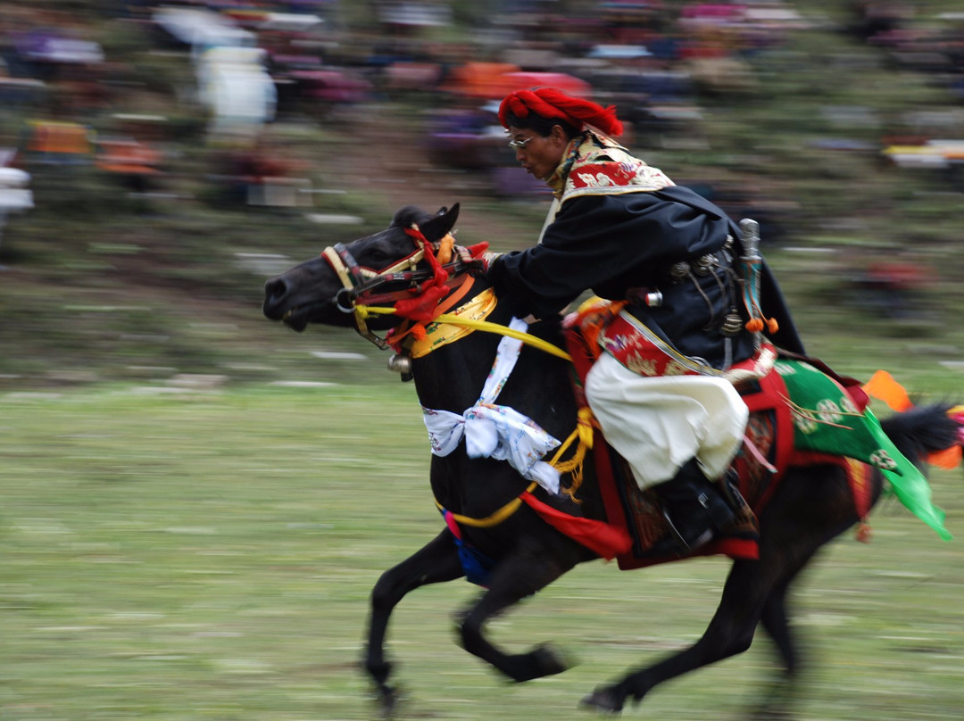 Conscious Journeys-成都必去景点