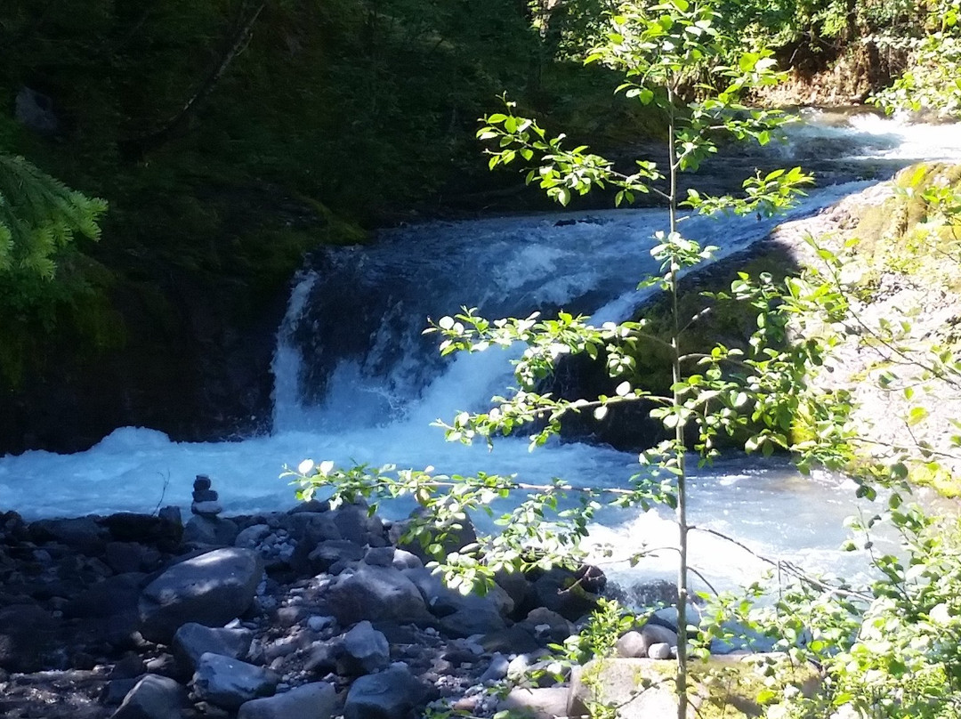 Mount St Helens Creation Center景点图片