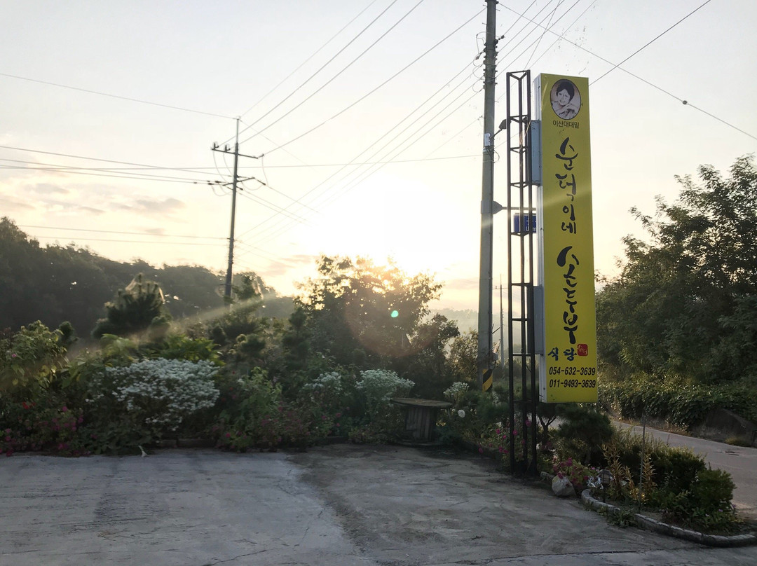 순덕이네손두부식당