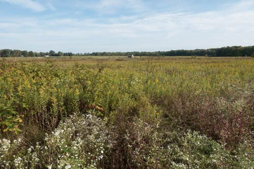 Frohring Meadows-Chagrin Falls必去景点