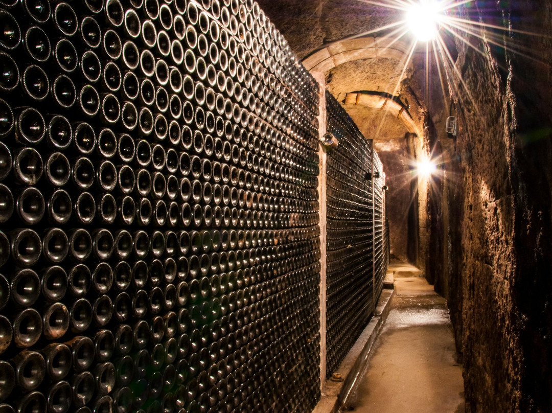 Bodegas Berceo景点图片