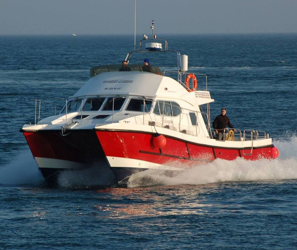 Shetland Wildlife Boat Tours景点图片