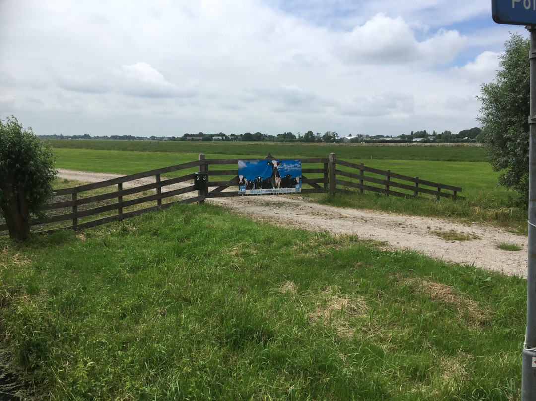 Baambrugge旅游攻略图片